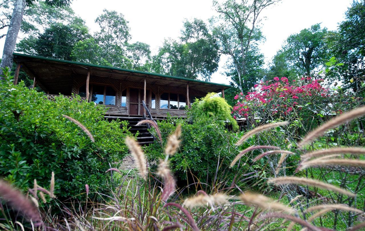 La Mision Mocona - Lodge de Selva Saltos del Moconá Habitación foto